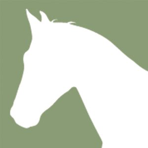 icon Pferdemedizin