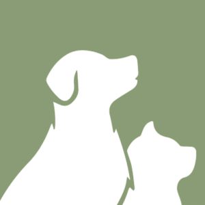 bereich f&uuml;r Hunde Katzen Kleintiere